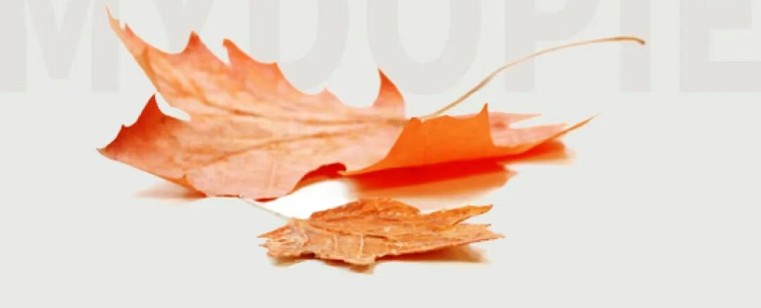 db5b9eabf3f44c5e6c4.png